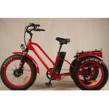 500W Green Power 3 Wheels Electric Bicycle 24inch Adult Electric Tricycle